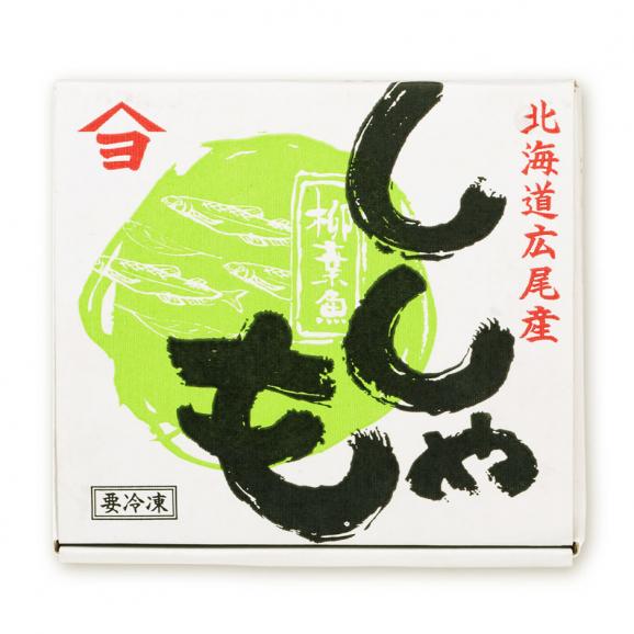 【計20尾】北海道 広尾産 本ししゃも 夫婦セット オス メス食べ比べ (各10尾)【送料無料】02