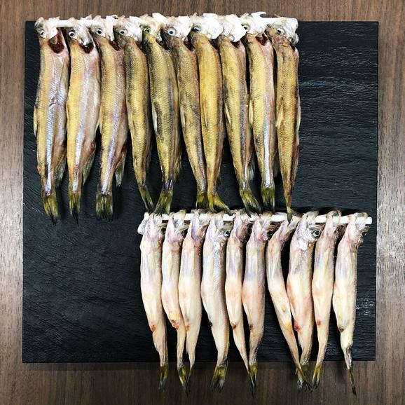 【肉厚・濃厚】北海道産本ししゃも 夫婦セット オス メス食べ比べ (各10尾・計20尾)【送料無料】05