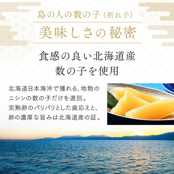 北海道産 味付け 数の子（折れ子）　白醤油漬 600g（300g×2）前後03