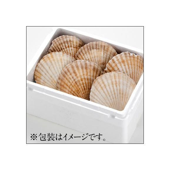 【水揚げ次第お届け】北海道 野付産 ジャンボ活ホタテ 約2.0kg (7枚前後)【送料無料】02