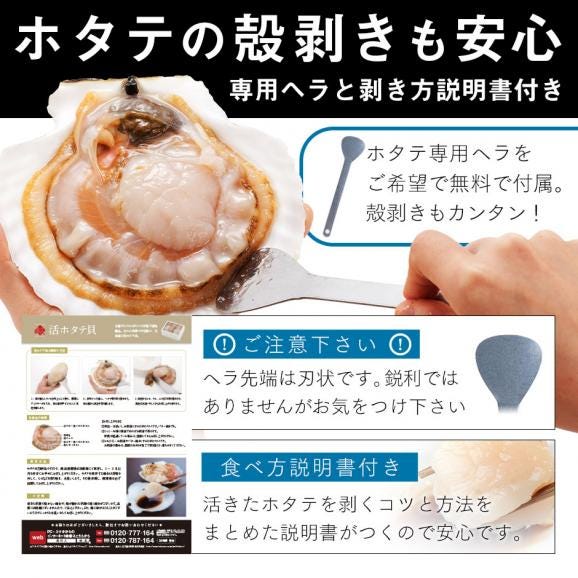 【水揚げ次第お届け】北海道 野付産 ジャンボ活ホタテ 約2.0kg (7枚前後)【送料無料】04