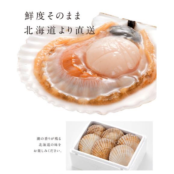 【水揚げ次第お届け】北海道 野付産 ジャンボ活ホタテ 約2.0kg (7枚前後)【送料無料】05