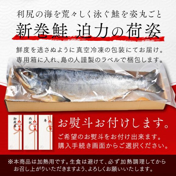 北海道 利尻島産 新巻鮭 手作り熟成仕込み(辛口)　Lサイズ(2.7kg前後) 【送料無料】04