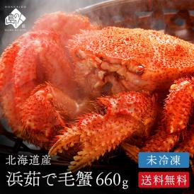 北海道産 浜茹で 未冷凍 チルド毛ガニ 660g前後 【送料無料】