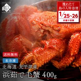 【1月25日〜1月26日お届け】北海道 太平洋産 浜茹で 未冷凍 チルド毛ガニ 400g前後 【送料無料】