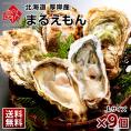 【水揚げ次第お届け】北海道 厚岸産 牡蠣 (まるえもん) 殻付き 9個(Lサイズ)【送料無料】