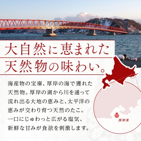 北海道 厚岸産 やわらか天然生たこしゃぶ 500g【送料無料】05
