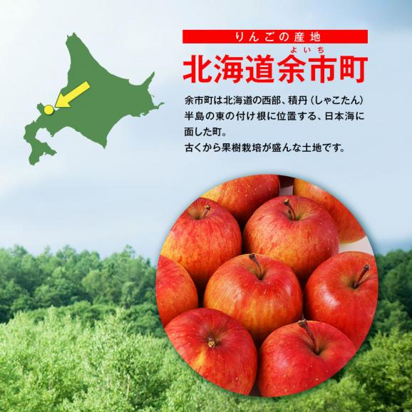 北海道 余市産 りんご リンゴ 9-10玉入り 2.5kg （訳あり品・品種：ふじ）【送料無料】02