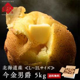 北海道産 じゃがいも 今金男爵 5kg(L〜2Lサイズ)【送料無料】