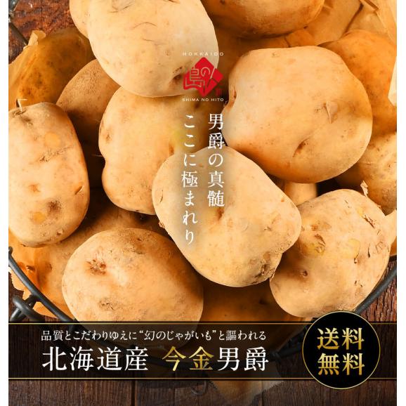 北海道産 じゃがいも 今金男爵 10kg(L〜2Lサイズ)【送料無料】02