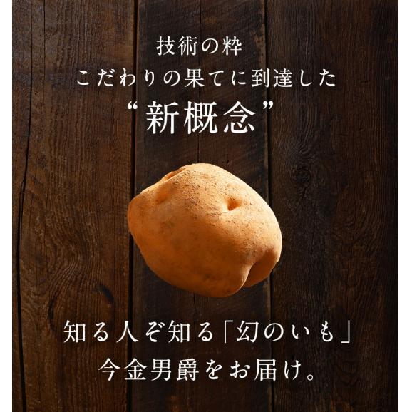 北海道産 じゃがいも 今金男爵 10kg(L〜2Lサイズ)【送料無料】03