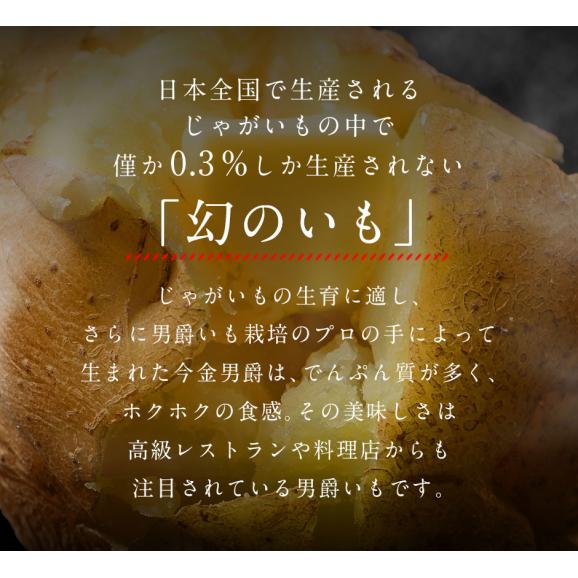 北海道産 じゃがいも 今金男爵 10kg(L〜2Lサイズ)【送料無料】04
