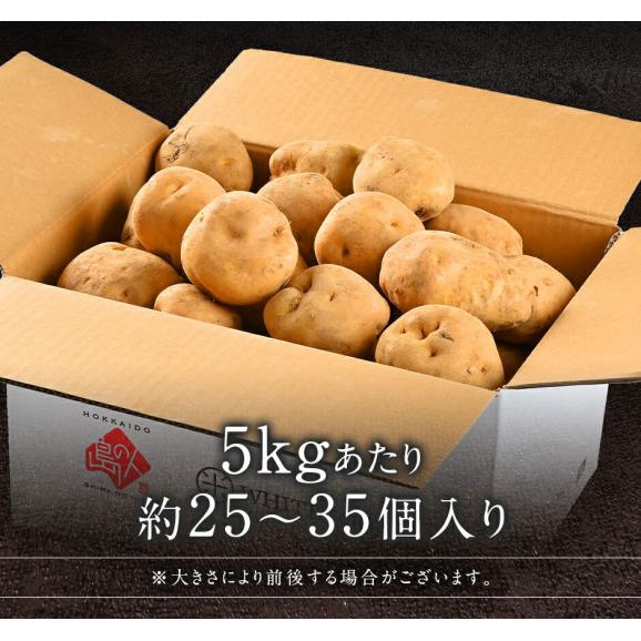 北海道産 じゃがいも 今金男爵 10kg(L〜2Lサイズ)【送料無料】05