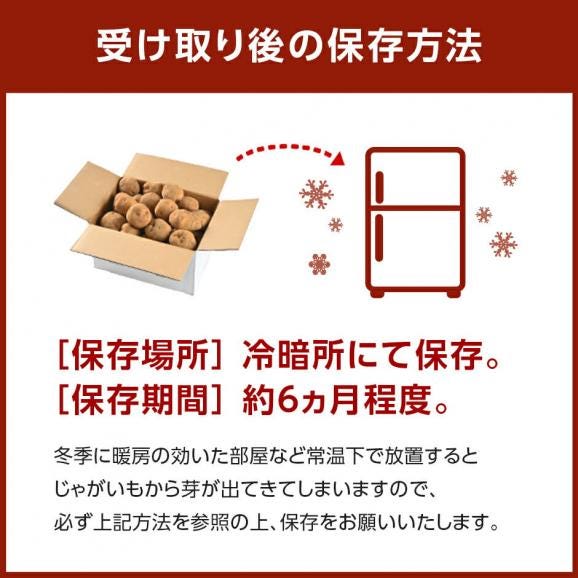 北海道産 じゃがいも 今金男爵 10kg(L〜2Lサイズ)【送料無料】06