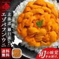 北海道 知床・羅臼産 生エゾバフンウニ オス 100g(ウニ丼大盛1杯分)【送料無料】