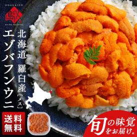 北海道 知床・羅臼産 生エゾバフンウニ メス 100g(ウニ丼大盛1杯分)【送料無料】