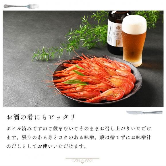 北海道 根室・歯舞産 ホッカイシマエビ 600g 56尾前後【送料無料】05
