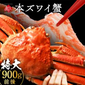 【大型サイズ】本ズワイガニ 姿 900g前後【送料無料】かに カニ 蟹 ずわい ズワイ蟹 プレゼント グルメ ギフト