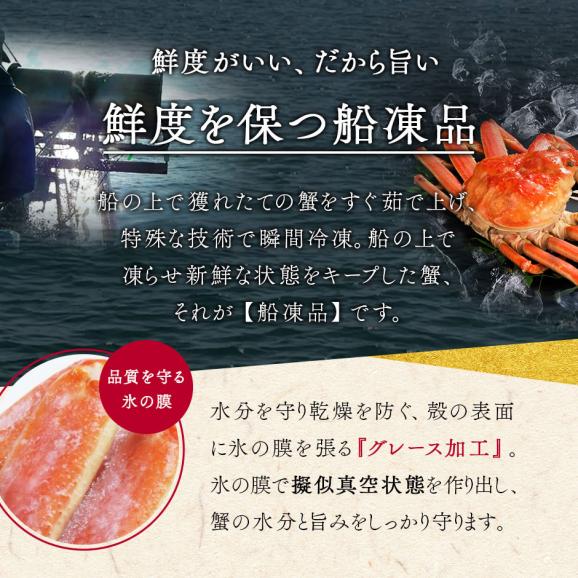 【大型サイズ】本ズワイガニ 姿 900g前後【送料無料】かに カニ 蟹 ずわい ズワイ蟹 プレゼント グルメ ギフト05