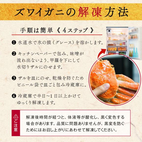 【大型サイズ】本ズワイガニ 姿 900g前後【送料無料】かに カニ 蟹 ずわい ズワイ蟹 プレゼント グルメ ギフト06