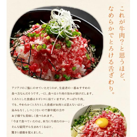 【とろける3色食べ比べ】天然ぶりとろフレーク 天然鮭とろフレーク 牛トロフレーク【送料無料】03
