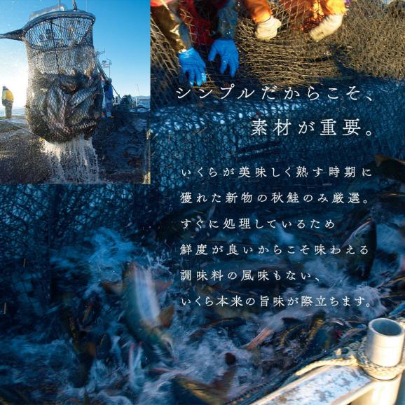 北海道 斜里産 鮭 塩いくら 220g(110g×2)　瓶タイプ【送料無料】04