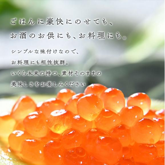 北海道 斜里産 鮭 塩いくら 220g(110g×2)　瓶タイプ【送料無料】05