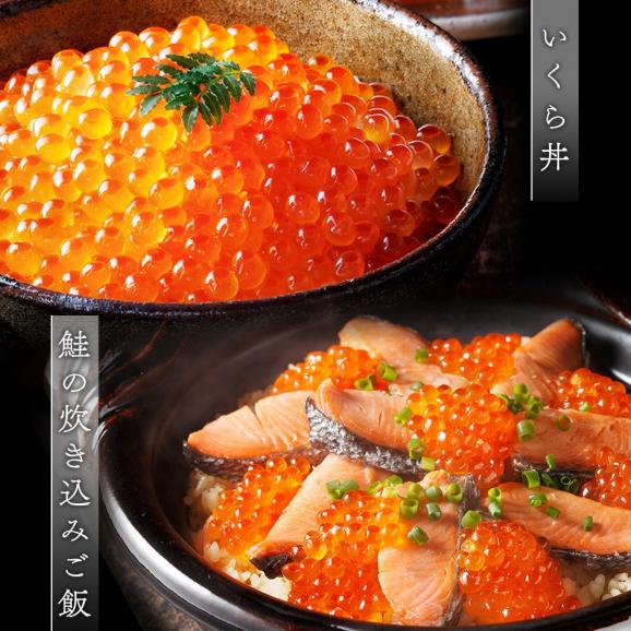 北海道 斜里産 鮭 塩いくら 220g(110g×2)　瓶タイプ【送料無料】06