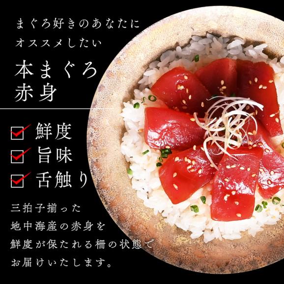 地中海産 天然本マグロ 赤身　約200g柵×2【送料無料】02