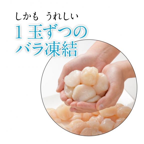 ほたて 北海道産 お刺身用 赤玉ホタテ貝柱 800g【送料無料】【ジッパー袋入り・バラ凍結】05