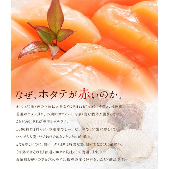 ほたて 北海道産 お刺身用 赤玉ホタテ貝柱 800g【送料無料】【ジッパー袋入り・バラ凍結】06
