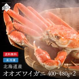 未冷凍 北海道産 ボイル済み オオズワイガニ 姿 400〜480g×2尾【送料無料】【水揚げ次第お届け】