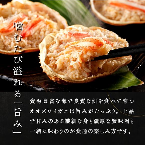 未冷凍 北海道産 ボイル済み オオズワイガニ 姿 400〜480g×2尾【送料無料】【水揚げ次第お届け】03