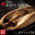 北海道標津産 鯖(サバ) 大サイズ 5尾【送料無料】