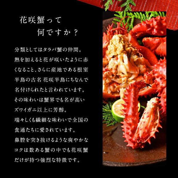 北海道 根室産 花咲ガニ(姿) 450g前後×2【送料無料】02