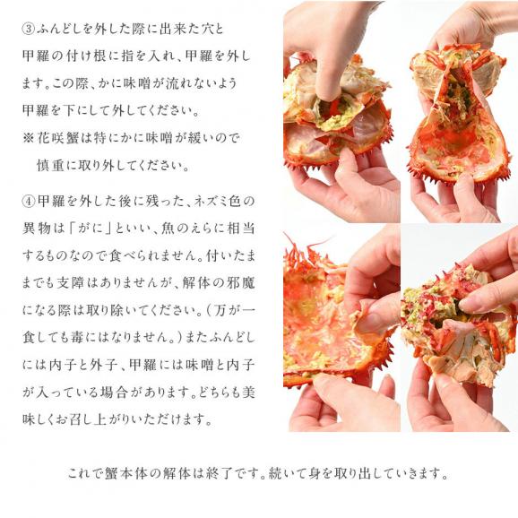 北海道 根室産 花咲ガニ(姿) 450g前後×2【送料無料】05
