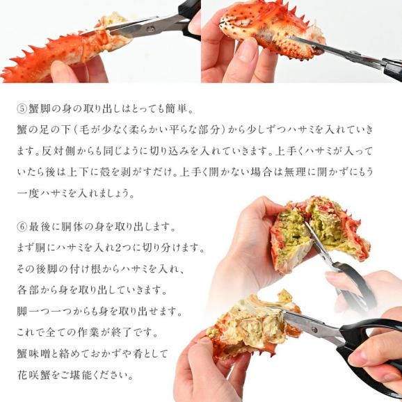 北海道 根室産 花咲ガニ(姿) 450g前後×2【送料無料】06