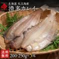 北海道産 滑多鰈(なめたかれい)200-250g 5尾セット【送料無料】