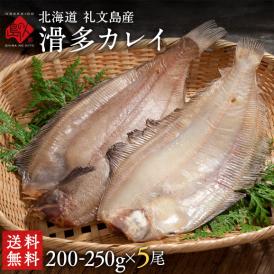 北海道産 滑多鰈(なめたかれい)200-250g 5尾セット【送料無料】