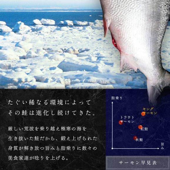 鮭の王様！キングサーモン 刺身 柵 260〜330g04