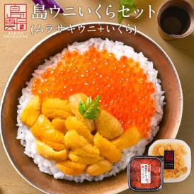 北海道 礼文・利尻島産 生キタムラサキウニ 90g＋昆布だしいくら 50g セット【送料無料】うに いくら 生うに 塩水 パック 雲丹 ムラサキ 海鮮 海産物 お取り寄せグルメ ミョウバン不使用