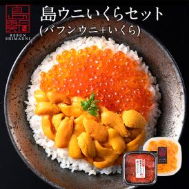 北海道 礼文・利尻島産 生エゾバフンウニ 80g＋昆布だしいくら 50g セット【送料無料】うに いくら 生うに 塩水 パック 雲丹 バフンウニ 海鮮 海産物 お取り寄せグルメ ミョウバン不使用