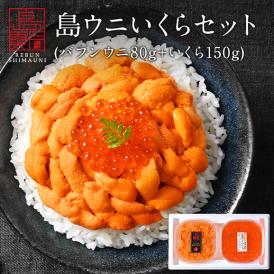 北海道 礼文・利尻島産 生エゾバフンウニ 80g＋昆布だしいくら 150g セット【送料無料】うに いくら 生うに 塩水 パック 雲丹 バフンウニ 海鮮 海産物 お取り寄せグルメ ミョウバン不使用