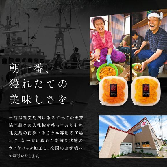北海道 礼文・利尻島産 生エゾバフンウニ 80g＋昆布だしいくら 150g セット【送料無料】うに いくら 生うに 塩水 パック 雲丹 バフンウニ 海鮮 海産物 お取り寄せグルメ ミョウバン不使用03