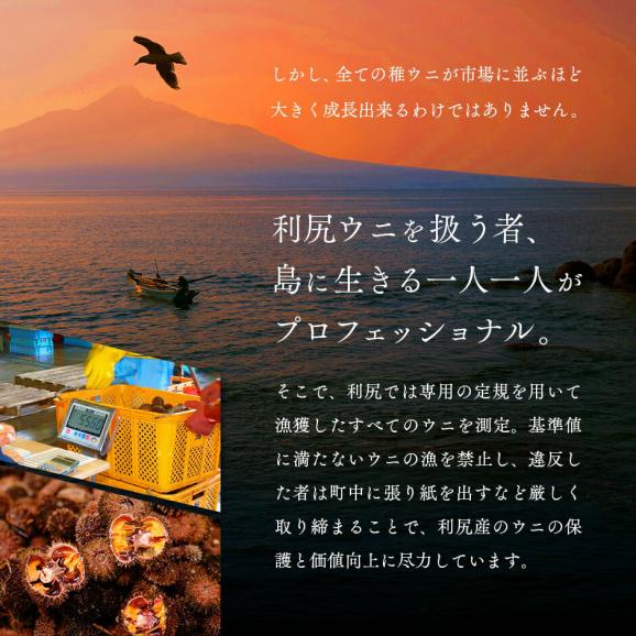 【新物予約】うに 北海道 利尻島産 生エゾバフンウニ 160g【送料無料】北海道 生うに 塩水 パック 雲丹 バフンウニ 海鮮 海産物 お取り寄せグルメ ミョウバン不使用05