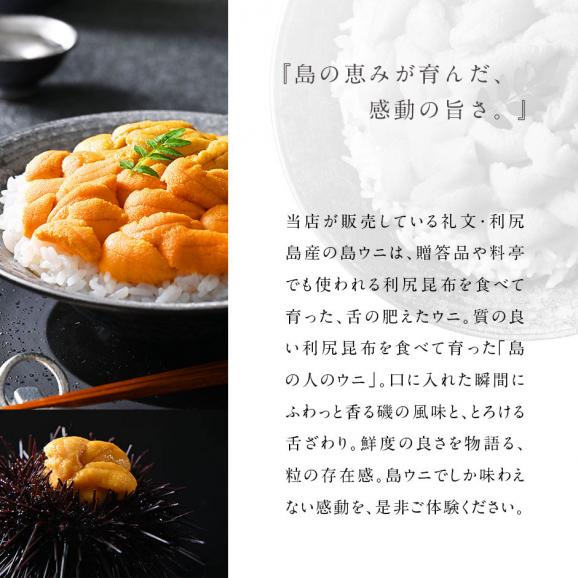 【新物予約】うに 北海道 礼文・利尻島産「折詰エゾバフンウニ」90g【送料無料】北海道 生うに 塩水 パック 雲丹 バフンウニ 海鮮 海産物 食べ物 食品 お取り寄せグルメ02
