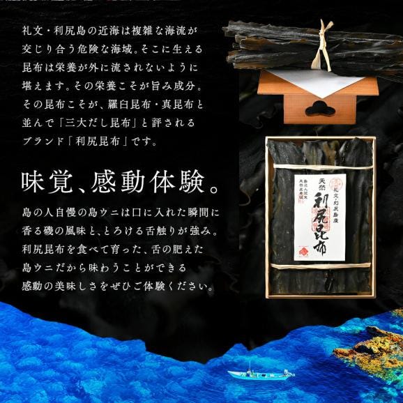 うに 北海道 礼文・利尻島産 生キタムラサキウニ 180g(90g×2) 【ギフト箱入り】【送料無料】北海道 生うに 塩水 パック 雲丹 ムラサキ 海鮮 海産物 ミョウバン不使用05