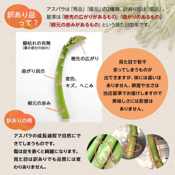 北海道 富良野産 露地栽培 グリーンアスパラガス サイズ混　1.0kg【送料無料】【訳あり】02