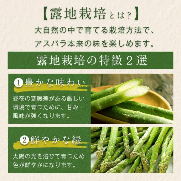 北海道 富良野産 露地栽培 グリーンアスパラガス M〜2Lサイズ　2.0kg【送料無料】02