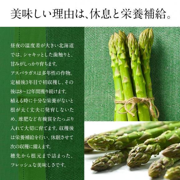 北海道 富良野産 露地栽培アスパラガス 2色食べ比べセット 2.0kg(グリーン1,200g＆ホワイト800g)【送料無料】05